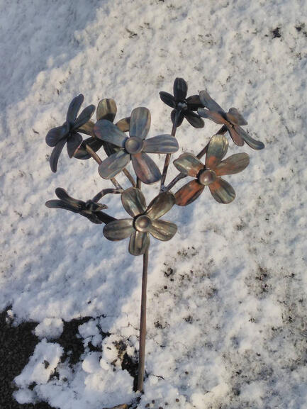 Forget-me-not (small)